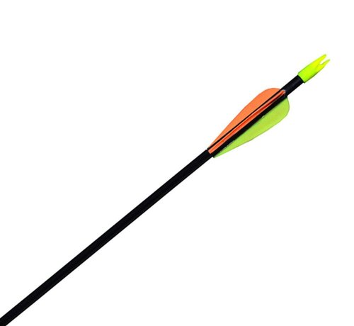 GPP 28" Fiberglass Archery Target Arrows - Practice Arrow or Youth Arrow for Recurve Bow- 12 Pack