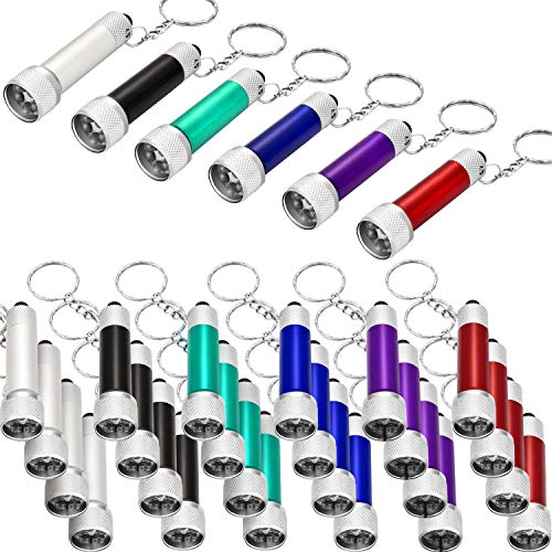 Mini LED Keychain Flashlights Bulk 30 Pack - Portable Aluminum Pocket Lights