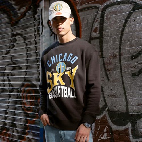 Unisex Oversized WNBA Crewneck Sweatshirt - Chicago Sky, Medium, Team Color