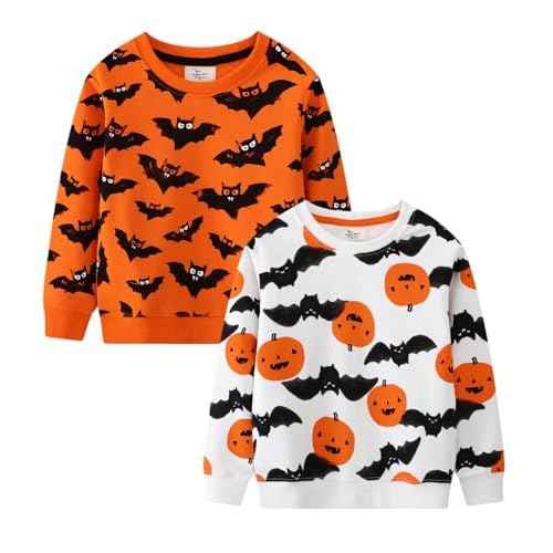 LOKTARC 2 Pack Toddler Boys Sweatshirts Patterned Long Sleeve Pullover Crewneck Tops Shirts