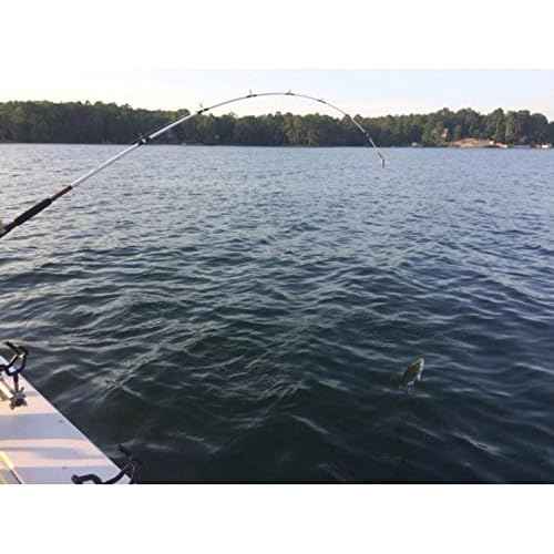 Ugly Stik¢ç Spinning Combo