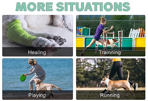 Dog Leg Brace for Rear Hock Joint - Right Size, Support & Recovery, M