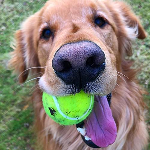 Parallel Halo Leather Shepherd Sling Handmade Paracord Shepherds Old-Fashioned Slingshot Tennis Ball Thrower (Brown)