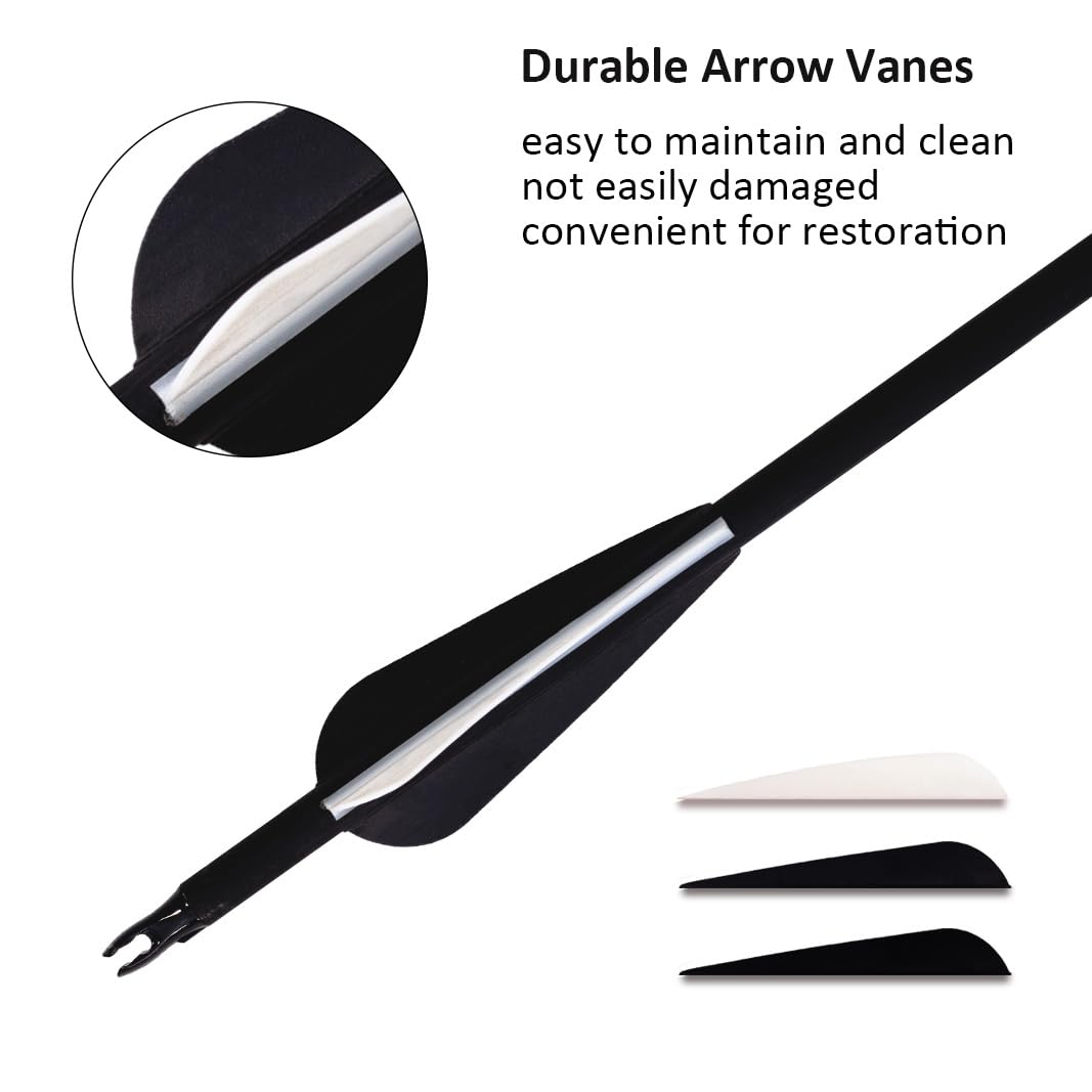 Luoyer 12Pcs Archery Hunting Arrows for Compound Bow Recurve Bow with Removable Tips Adjustable Nocks for Adults Hunting Targeting 30inch (Black Vanes)