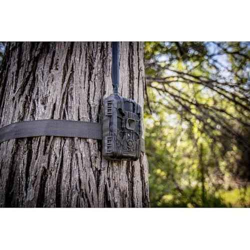 Stealth Cam Deceptor NO GLO 80ft Detection & IR Range 40MP Photo 1440P HD Video Capture Hunting Cellular Trail Camera and FieldMax Lithium Rechargeable Battery Cartridge - Dual Network