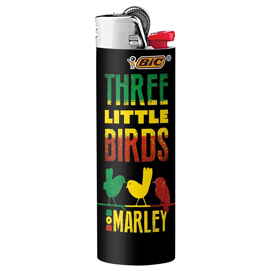 BIC Maxi Pocket Lighter, Special Edition Nostalgia Collection, Assorted Unique Lighter Designs, 8 Count Pack of Lighters