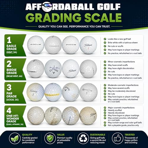 Used Golf Balls Bulk Box - 100 Count Range Practice Shag Balls for Men and Women