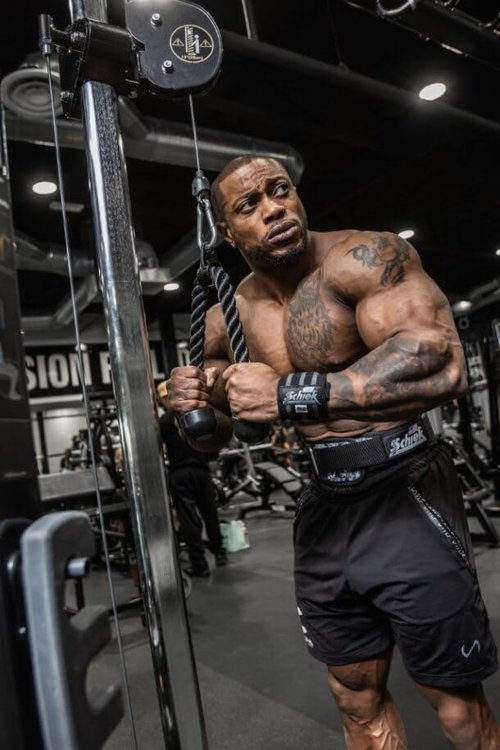 Schiek Sports Heavy Duty Wrist Wraps - Gym Workouts Wrist Support - Black Out Line Wrist Wraps