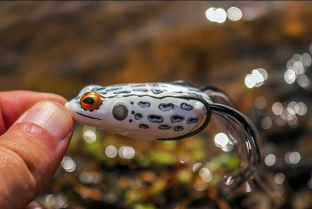 BOOYAH Pad Crasher Jr Topwater Bass Fishing Hollow Body Frog Lure with Weedless Hooks, Shad Frog