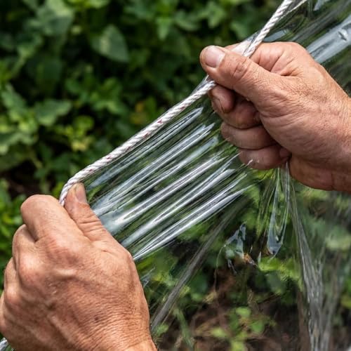 8x8ft Heavy Duty Waterproof Clear PVC Tarpaulin with Grommets - Greenhouse, Patio Cover