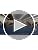 Girls Split-Back Gymnastics Leotard - Catlandia Tidal Wave Variation