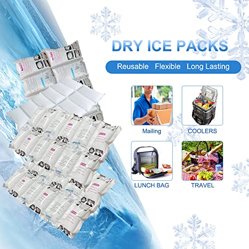 Rainbow Reusable Ice Pack Sheets for Shipping & Cold Storage 16 Sheets - 12 Cell