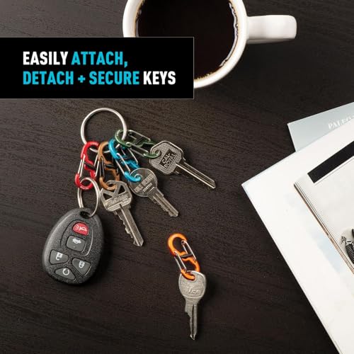 Small Aluminum Keyring Locker S-Biner Carabiner Set with 5 Assorted Colors