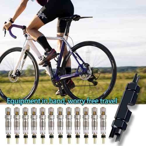 Presta Valve Core Bike Valve Core Removal Tool MTB Tire Valve Stem Repair, Bicycle Valve Core Replacements Set, Presta & Schrader Valve Stem Remover Tool Kit