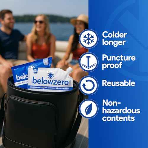 Below Zero Prefilled Reusable Ice Packs for Coolers | Long Lasting Freezer Ice Blocks for Camping, Lunch Bags & More | 48 Hour Cooler Ice Pack Technology