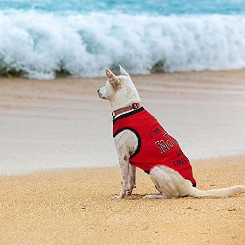 Classic Pattern 8 Pcs Dog T-Shirts - Medium Variation