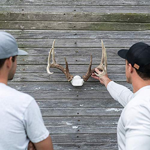 DIY Antler Mounting Kit with Skull Cap for Wall or Table Display - Adjustable & Durable