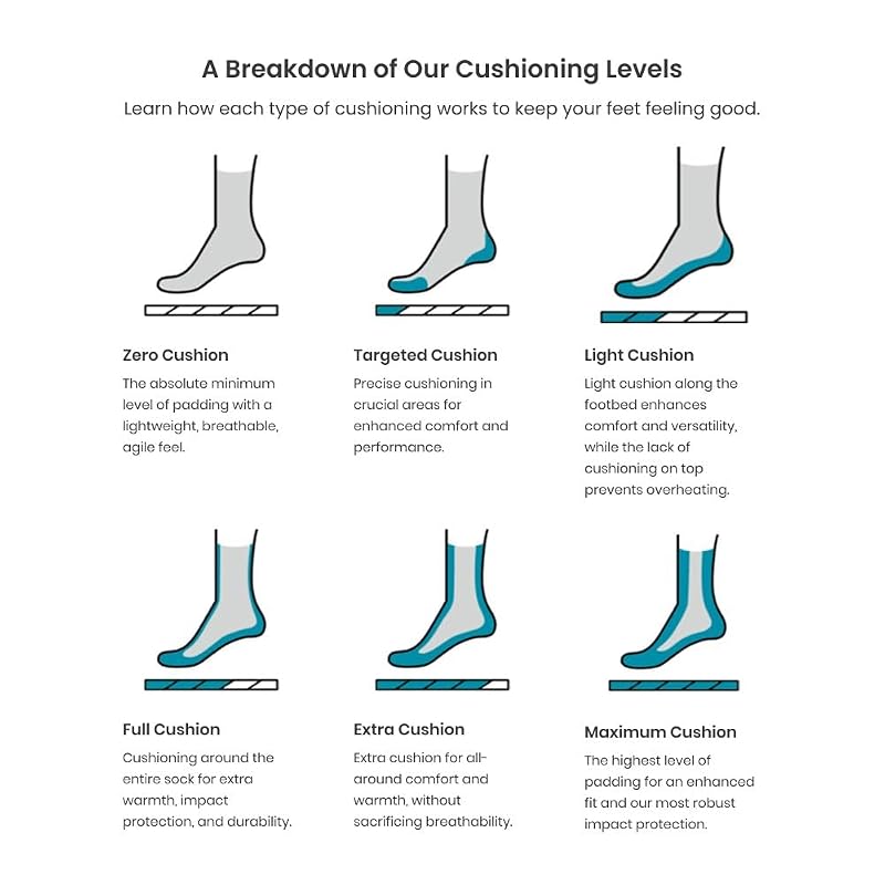 Smartwool Twilight Blue Medium Everyday No Show Socks for Women - 3 Pack