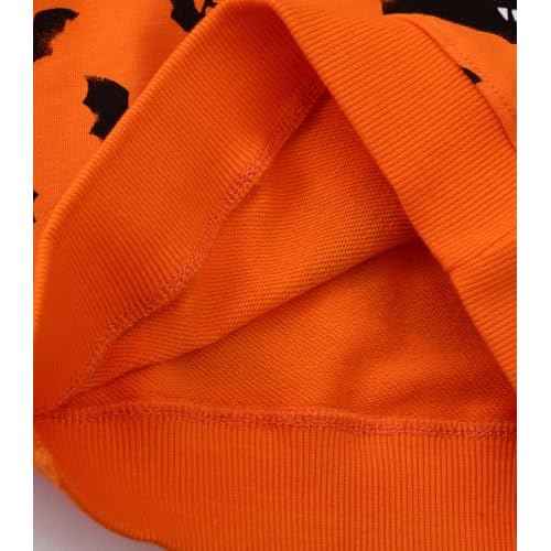 LOKTARC 2 Pack Toddler Boys Sweatshirts Patterned Long Sleeve Pullover Crewneck Tops Shirts