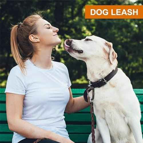 12KN Heavy Duty Carabiner Clips - Favofit 3.2'' Small Carbineers for Hiking Camping Hammocks Keys Keychains Dog Leashes - Ideal for Outdoor Enthusiasts