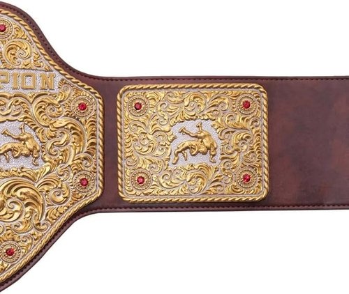 TRUESAGAUSA 4mm Dual Plate Big Gold Heavyweight Wrestling Title Belt Class One Replica Leather Strap Great Gift to Your DaD (Brown Strap)
