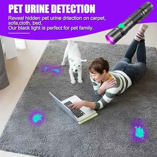 Blacklight Flashlight, 2 Pack UV Flashlight Rechargeable, Small Pure Ultraviolet Light Long Lasting, Powerful Fluorescent Detector for Dog Urine Stains,Scorpions,Hornworm,Glow Paint