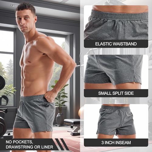 Mens 3 Inch Cotton Blend Gym Shorts - Large Dark Gray