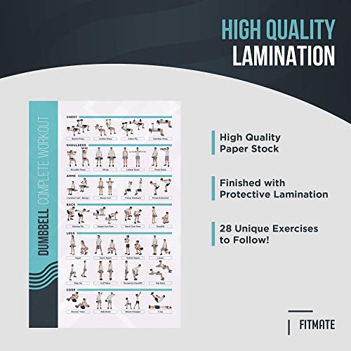 Dumbbell Exercise Poster - 24.8" x 16.5" Laminated Home Gym Workout Guide