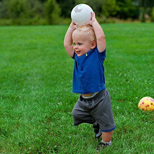 Daball Kid and Toddler Soccer Ball Size 1 & 3 with Pump & Gift Box - Happy Zebra