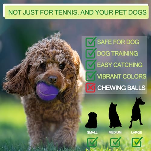 INSUM Purple Tennis Balls Bulk Set with Mesh Bag - Practice & Pet Play