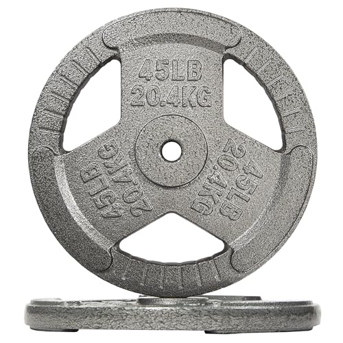 Fitvids Cast Iron 1-Inch Standard Weight Plate for Strength Training & Weightlifting, Multiple Weights Available