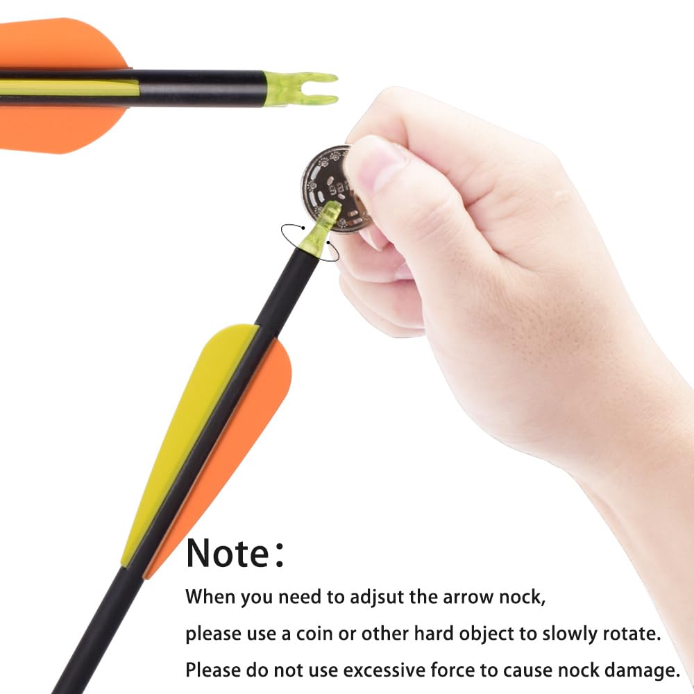 26 inch Carbon Arrow Hunting Arrows with 100 Grain Removable Tips for Archery Compound & Recurve & Traditional Bow Practice Shooting (Pack of 12)