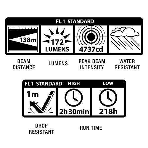 Maglite XL200 LED 3-Cell AAA Flashlight in Presentation Box, Gray