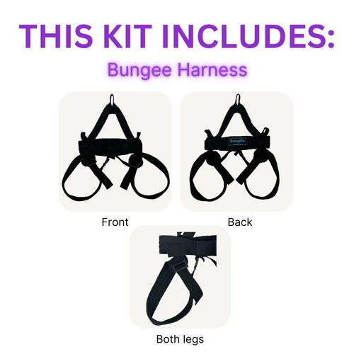 BUNGEE Kit: Ideal for flying workouts & dance. Supports 25-95 kg weight. Includes harness, bungee ropes, swivel, daisy chain & 1 month free access to videos, music & workouts (L)