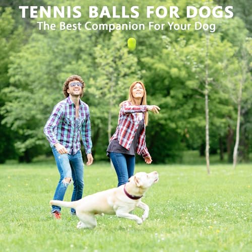 Multi-Color 40 Pack Tennis Balls for Practice & Dog Play - Durable Rubber & Felt