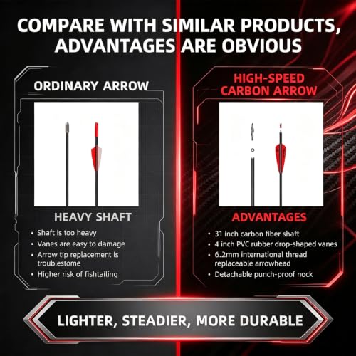 31 Inch Carbon Arrow Set for Target Practice Hunting Arrows with Removable Tips - 24 PC, 4 Colors