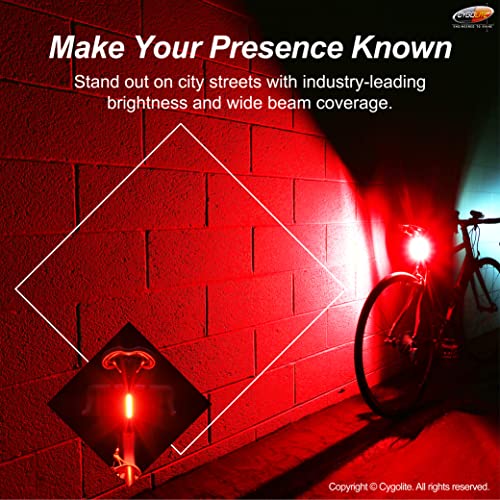 120 Lumen Bicycle Tail Light with USB Rechargeable LEDs, 7 Modes, Water Resistant