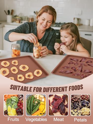 3Pcs Silicone Food Dehydrator Sheets with Edge - Non-Stick Tray Liners