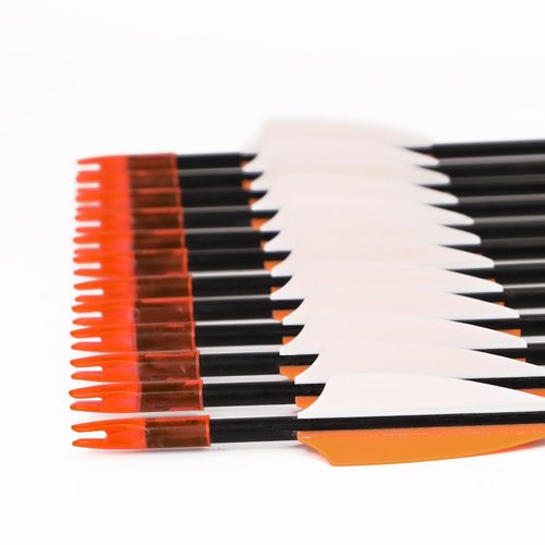 LWANO 28" Fiberglass Arrows - Archery Practice Target Arrows with Blunt Tips Durable Shaft for Youth Kids Children Beginners on Recurve&Long Bows(Pack of 12)