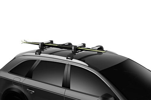 Thule 732200 SnowPack 2 Pairs of skis, Aluminium, S