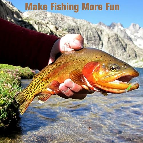 Fly Tying Jig Heads Kit - 100pcs Small Barbed Hooks & Multiple Weights - Straight Shank Hooks 1/16oz Variation