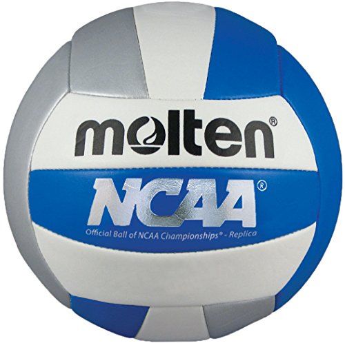 Recreational Volleyball - Official Size & Weight, Soft Cover, Blue/Silver/White
