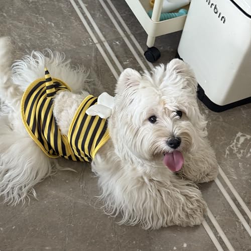 Pet Swimwear Bikini for Small Dogs & Cats - Yellow Bee X-Small