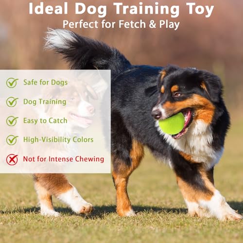 Multi-Color 40 Pack Tennis Balls for Practice & Dog Play - Durable Rubber & Felt