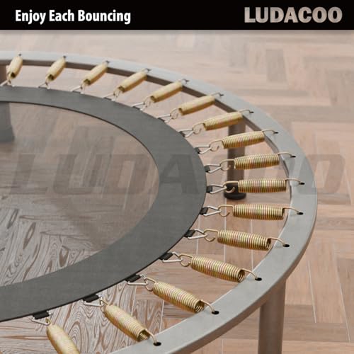 3.5 Inch Trampoline Springs Heavy Duty Stainless Steel Replacement Pack - Swivel & Straight Hooks, T-Hook Tool Included