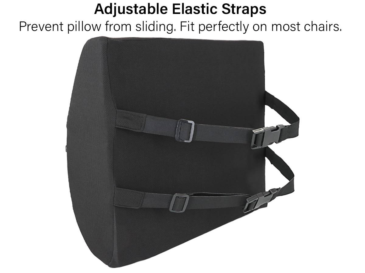 Vaunn Medical Seat Cushion, Lumbar Back Support Pillow for Office Chair with Removable Firm Insert