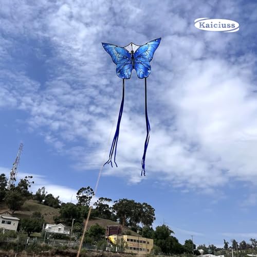 Blue Butterfly Kite with Reel - Large Single Line Beach Kite for Kids & Adults