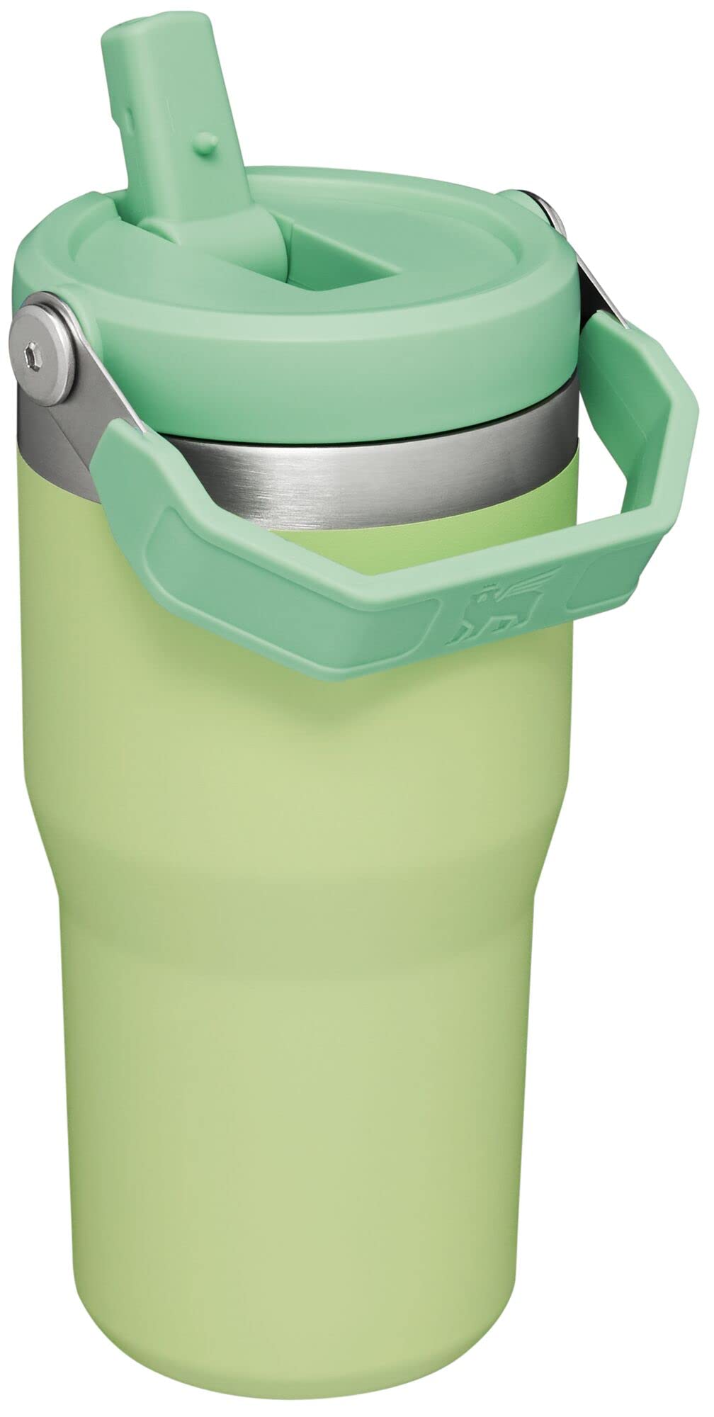 Stanley IceFlow Flip Straw Tumbler with Handle 20 oz | Twist On Lid and Flip Up Straw | Leak Resistant Water Bottle | Insulated Stainless Steel |BPA-Free | Citron