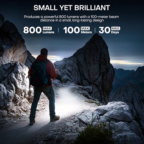 Rechargeable LED Flashlight 800 Lumen with Magnetic Clip & Base - Black, Large