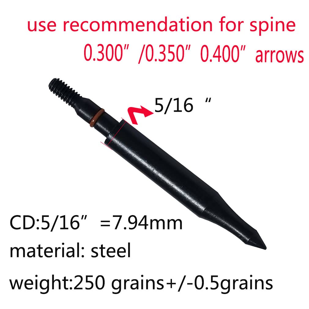 Field Points arrowheads 250 Grains Archery Field Points, 5/16" Steel Screw in Archery Field Tips and Broadheads (1 Dozen 12 PCS)